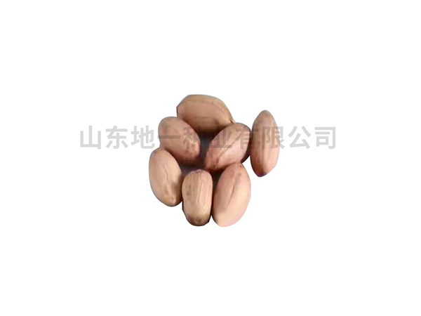 濰花25號(hào)花生種，有哪些栽培技巧